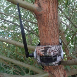 Bearstep Motion Detector Gamewatch 2+1