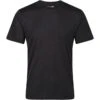 Regatta Men's Fingal Edition Marl T-Shirt (black)