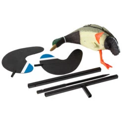 Stepland Curly Duck (electronic)